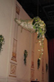 Ein Füllhorn in der Semperoper, von Iris Hägele geflochten, von Florale Welten ausdekoriert.